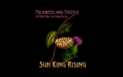 PeacockSunrise Records Releases A Two-song Extended Play Single by Sun King Rising.